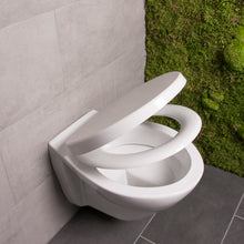 Lade das Bild in den Galerie-Viewer, Bullseat 2